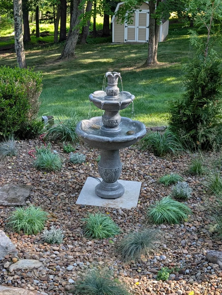Rock Bed With Various Trees, Plants, And A Fountain