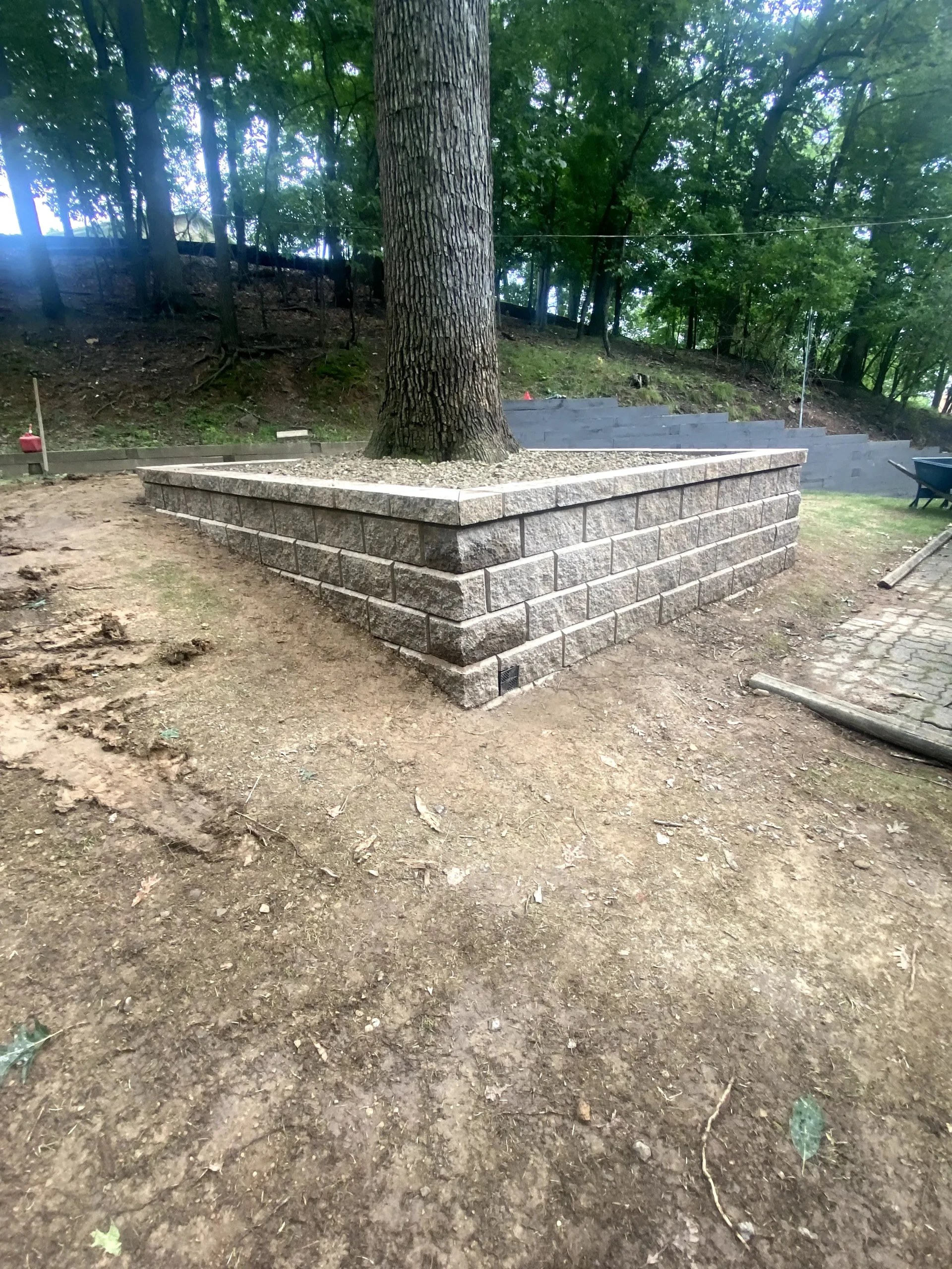 Retaining Wall Surrounding Tree Base