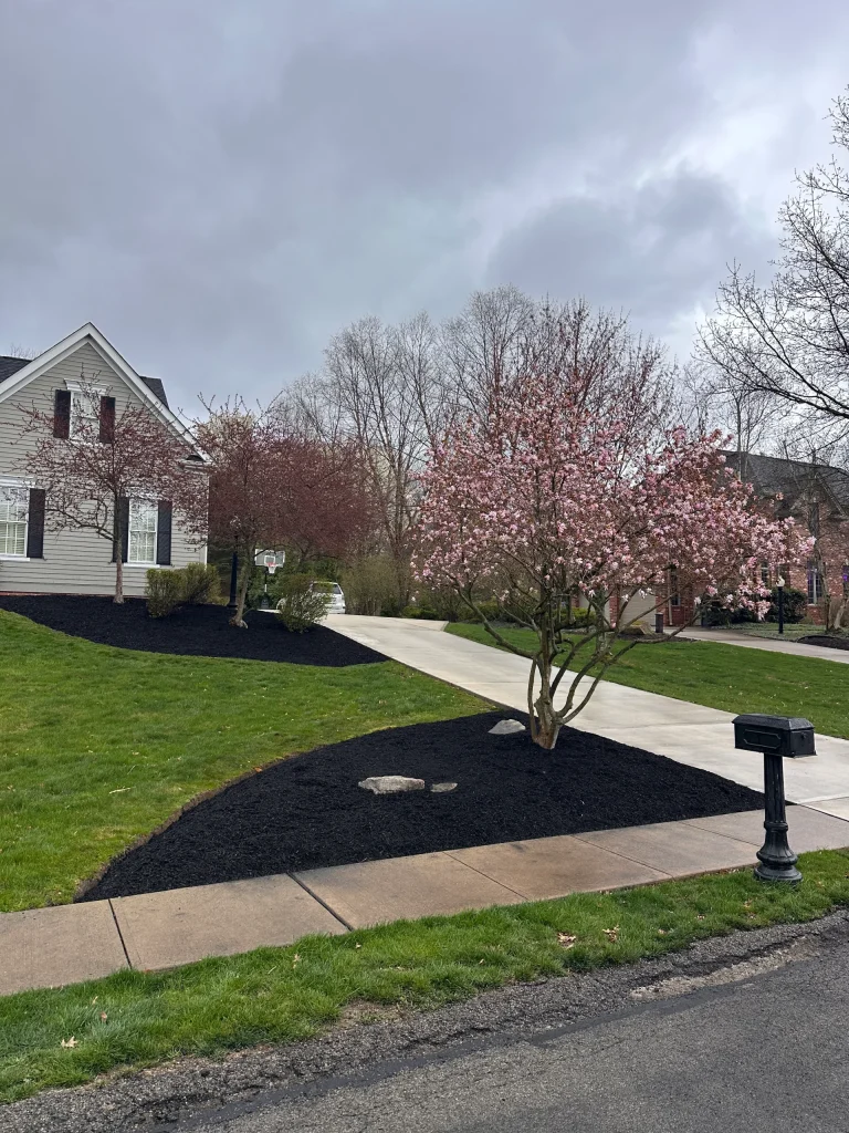 Mulch Bed and Large Rock Installation In Front Yard