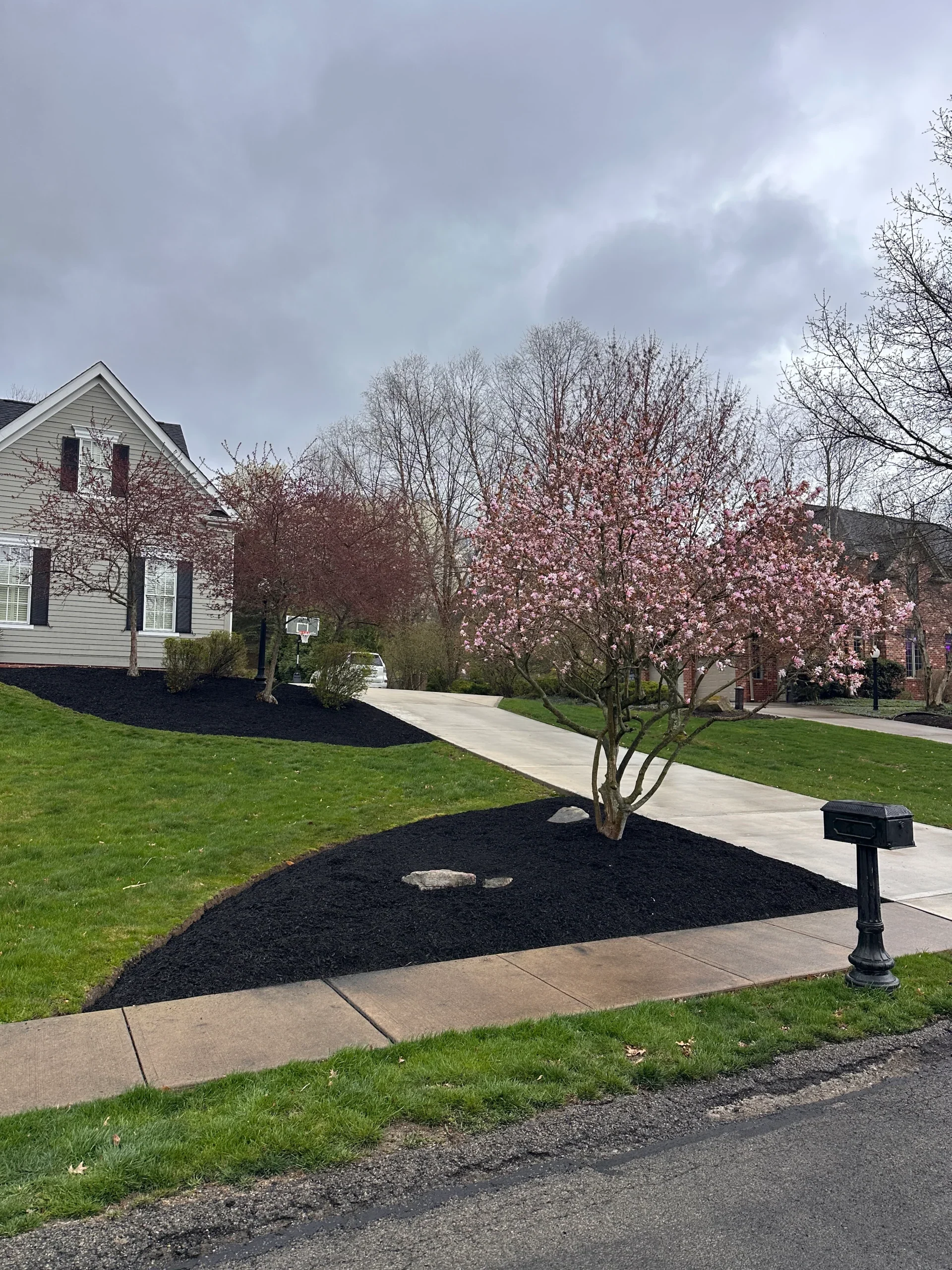 Mulch Bed and Large Rock Installation In Front Yard