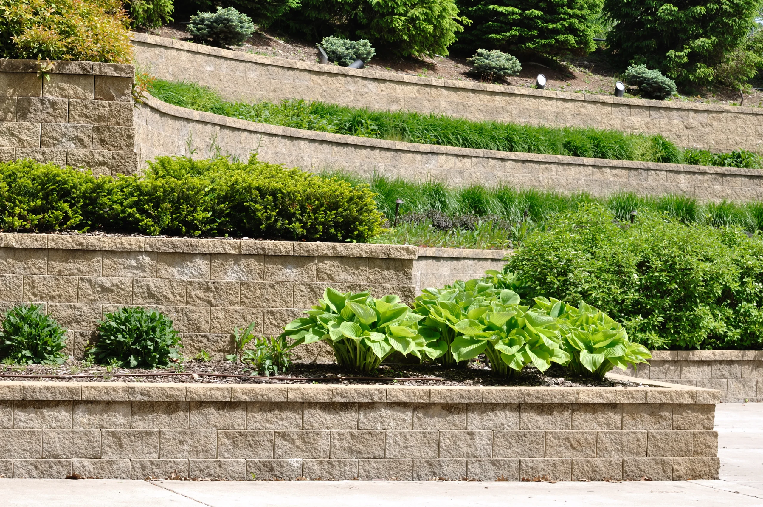 Retaining Wall